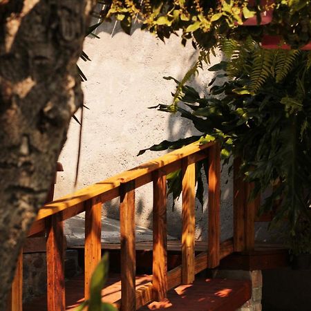 Villa Casa Rústica Atlixco Exterior foto